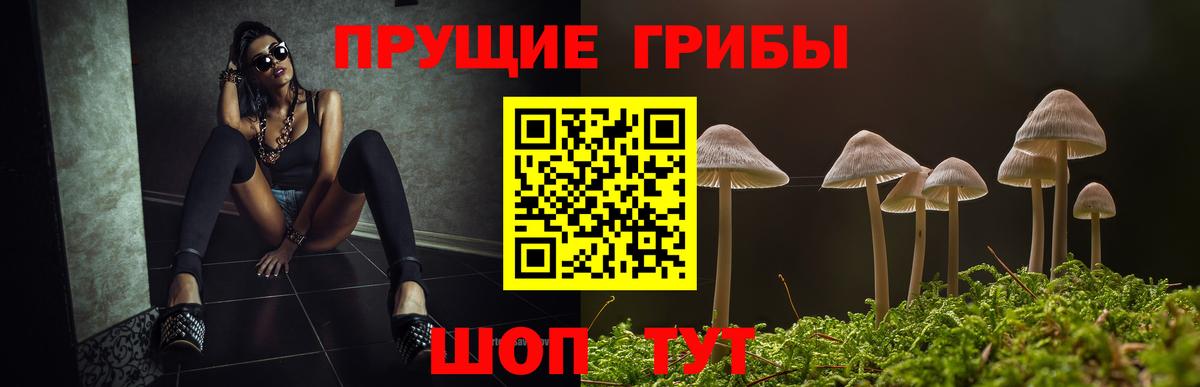 Кудрово  Галлюциногенные грибы ЛСД  Вход с VPN 